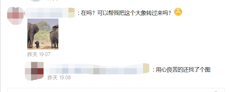 在吗？可以帮我把这个大象转过来吗？